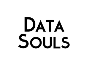 Логотип клиента: Data Souls